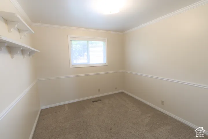 Neutral wall tones with crown molding, chair rail detailing, carpet flooring, a single window with blinds, and built-in shelving