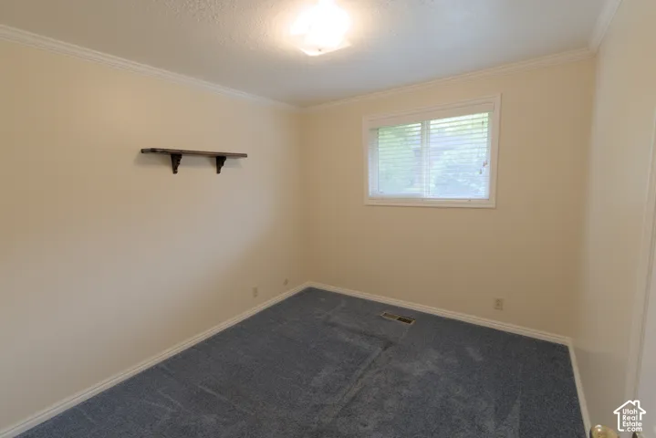 Crown molding and wall-mounted shelving in a room featuring a window with blinds and blue carpeting