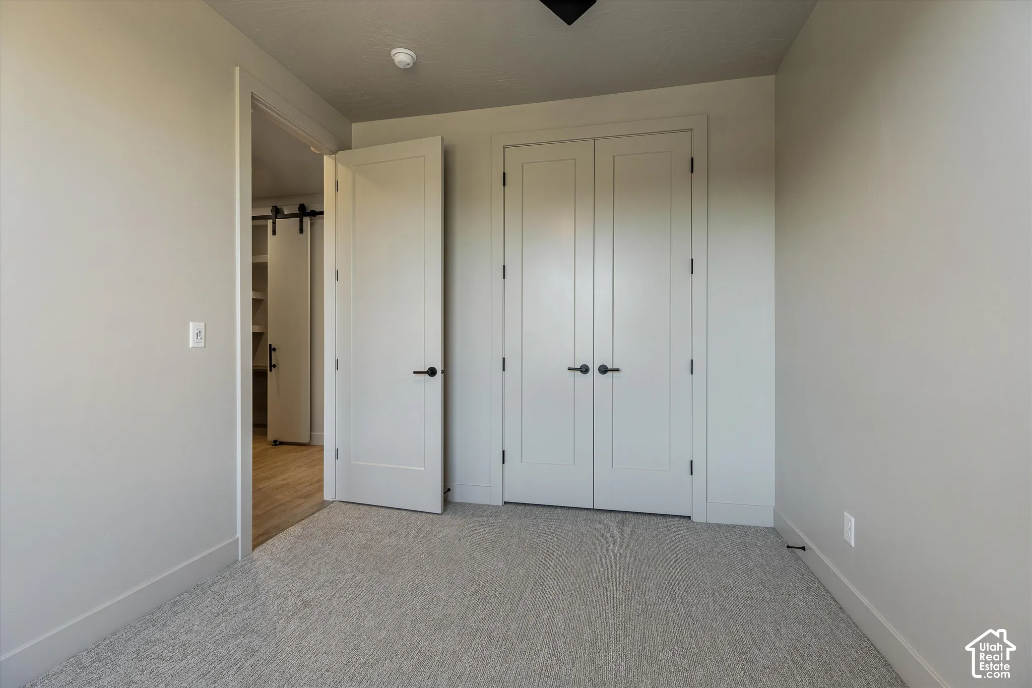 Neutral gray wall paint, light-colored carpeting, white double-panel doors with matte black hardware, and a barn door entry to an additional space with wood-finish flooring