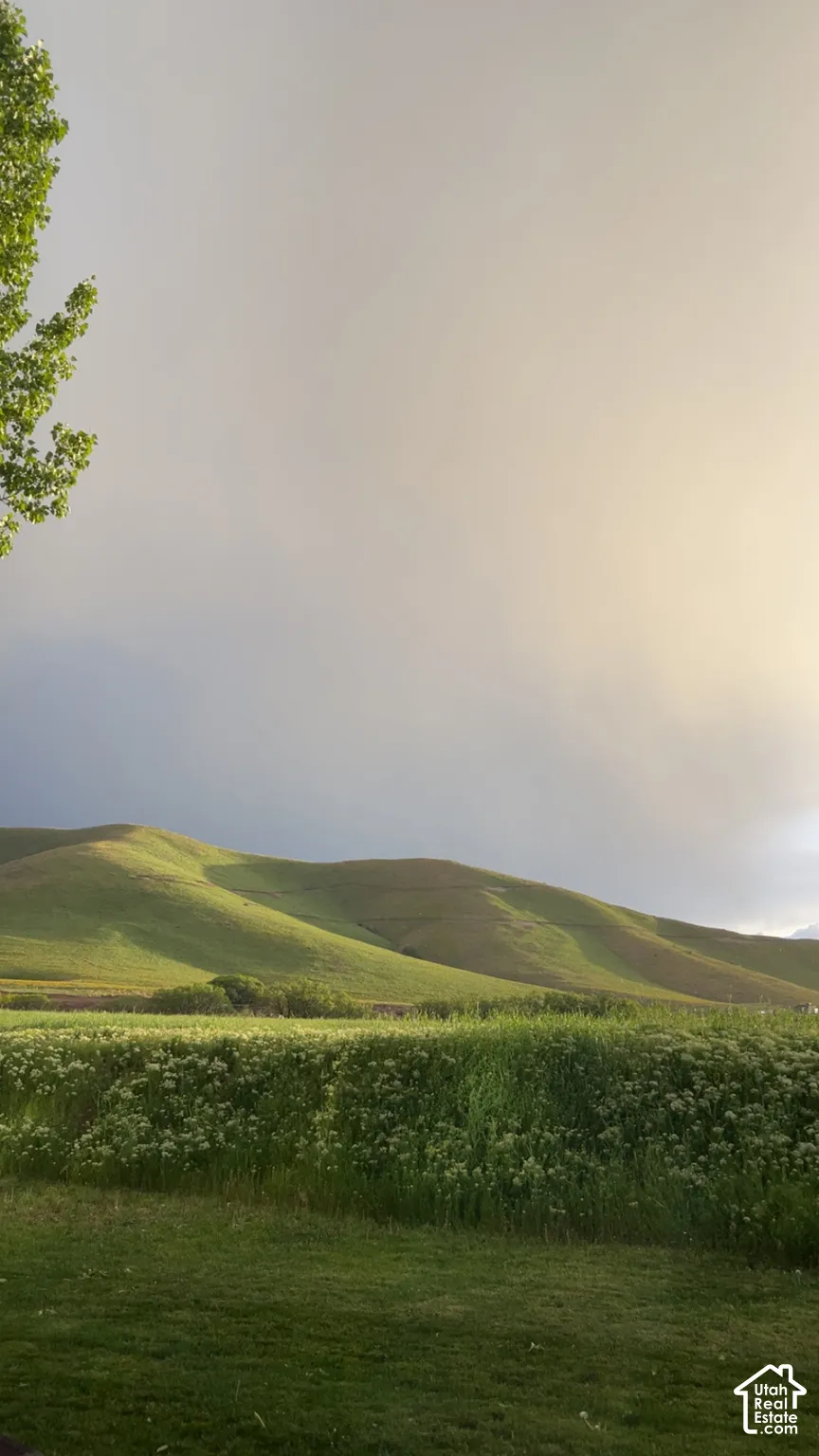 Expansive green landscape with rolling hills, natural foliage, and a foreground of manicured lawn