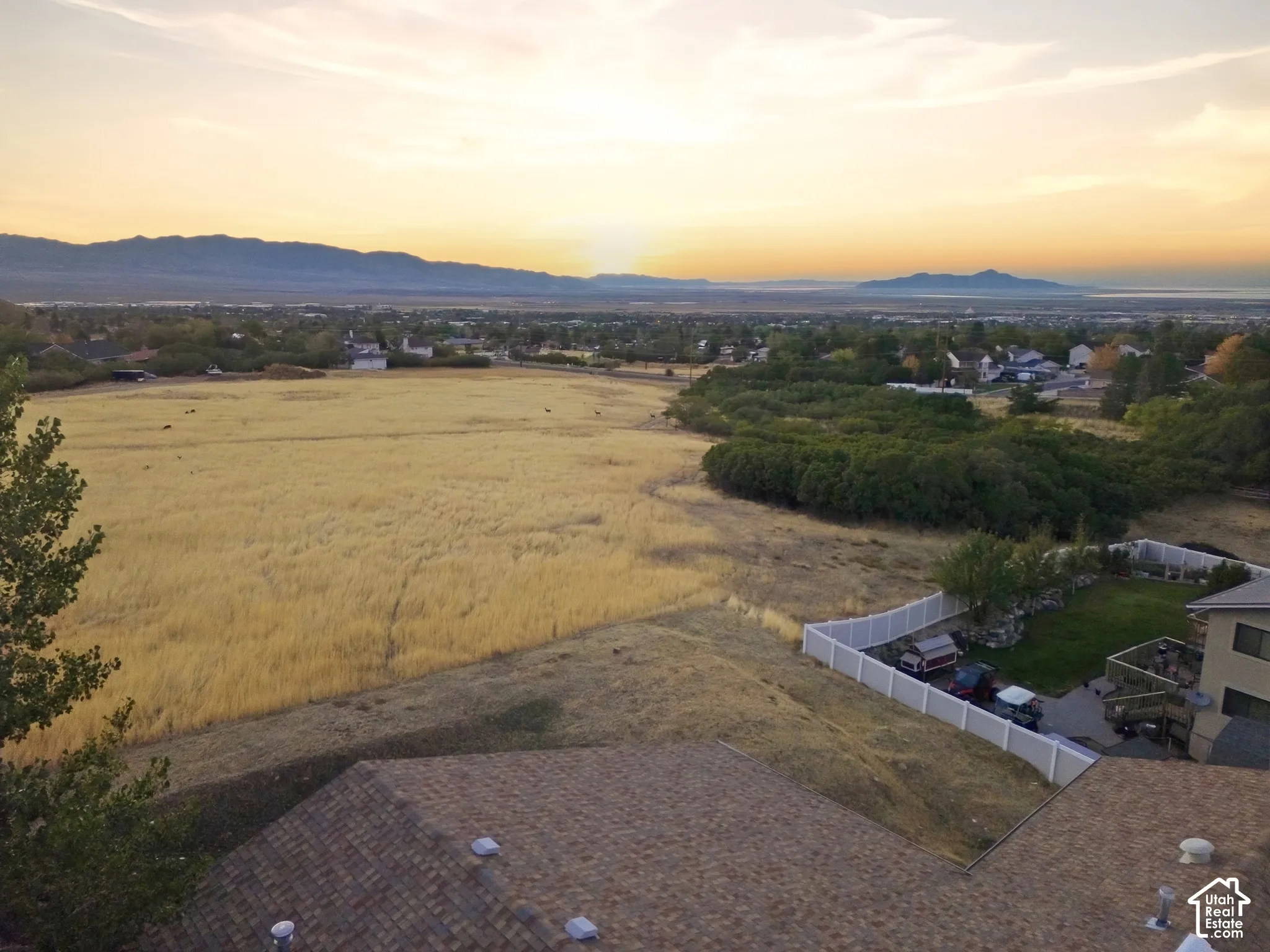 Expansive golden fields with distant mountains and a serene sky