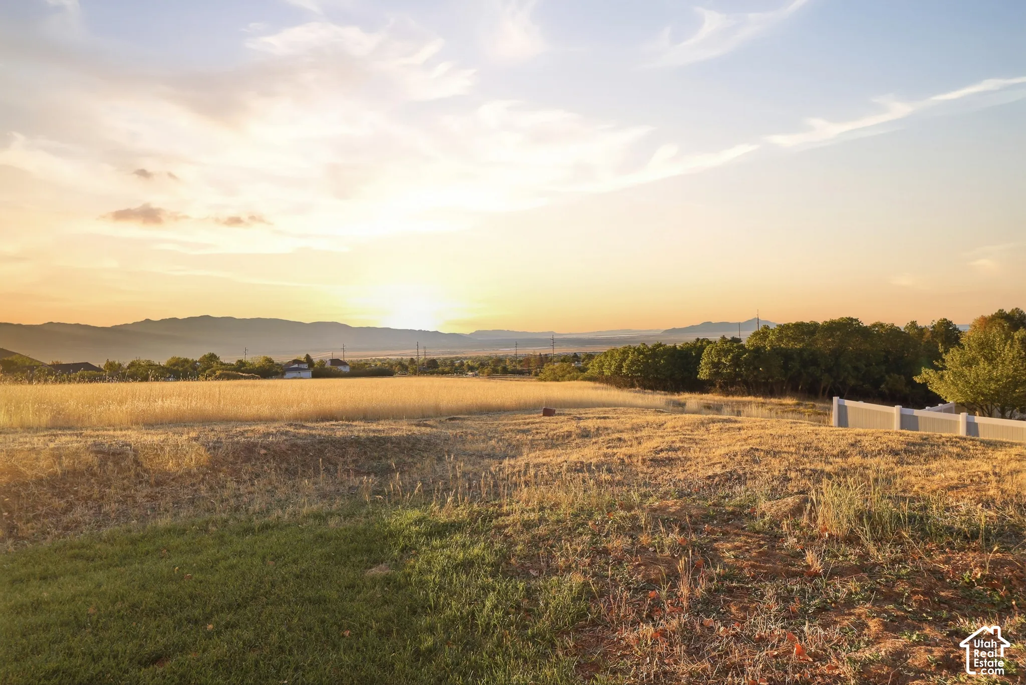Expansive open field with a distant mountain range and trees
