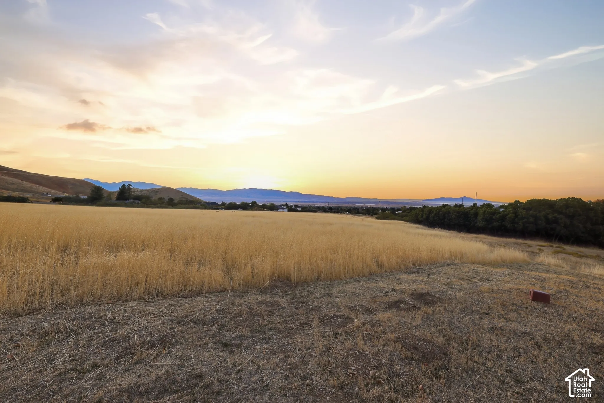 Expansive field with golden crops and distant mountain ranges