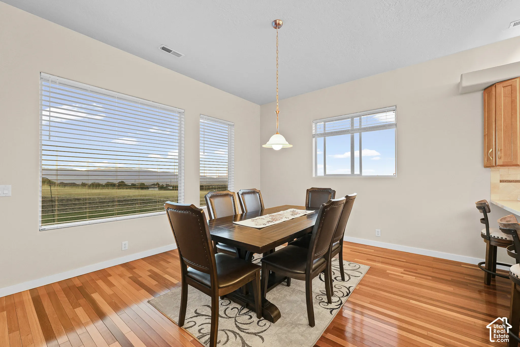Wood-finish flooring with a pendant light fixture