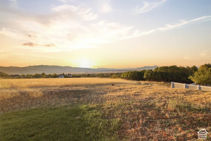 Expansive open field with a distant mountain range and trees