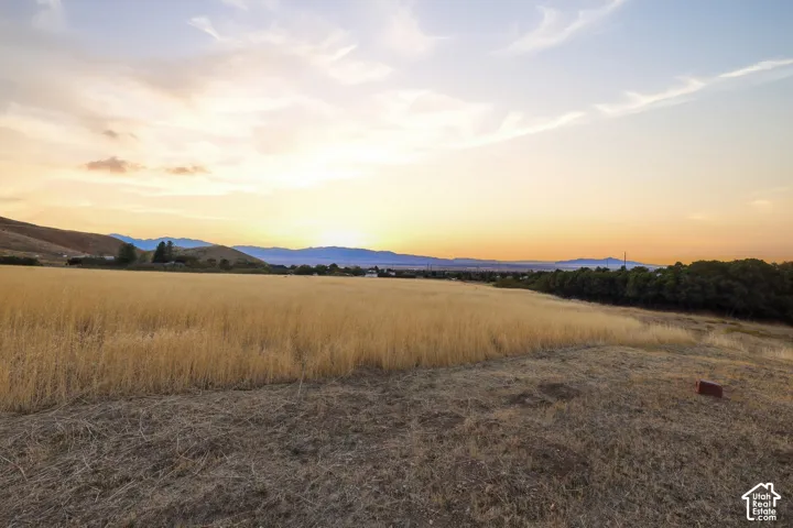 Expansive field with golden crops and distant mountain ranges