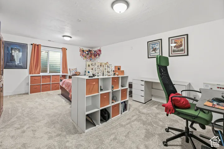Basement family room (currently being used as bedroom)