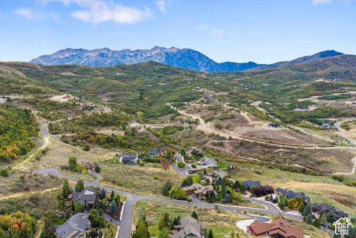 Expansive mountain scenery with diverse foliage and distant peaks