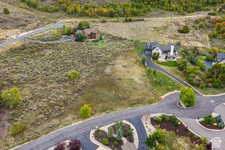 Expansive lot with natural landscaping and mature trees