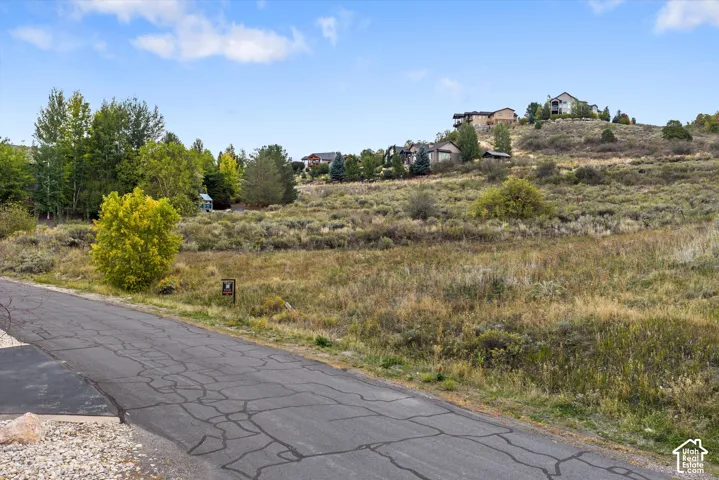 Expansive undeveloped lot featuring varied natural vegetation and scattered trees