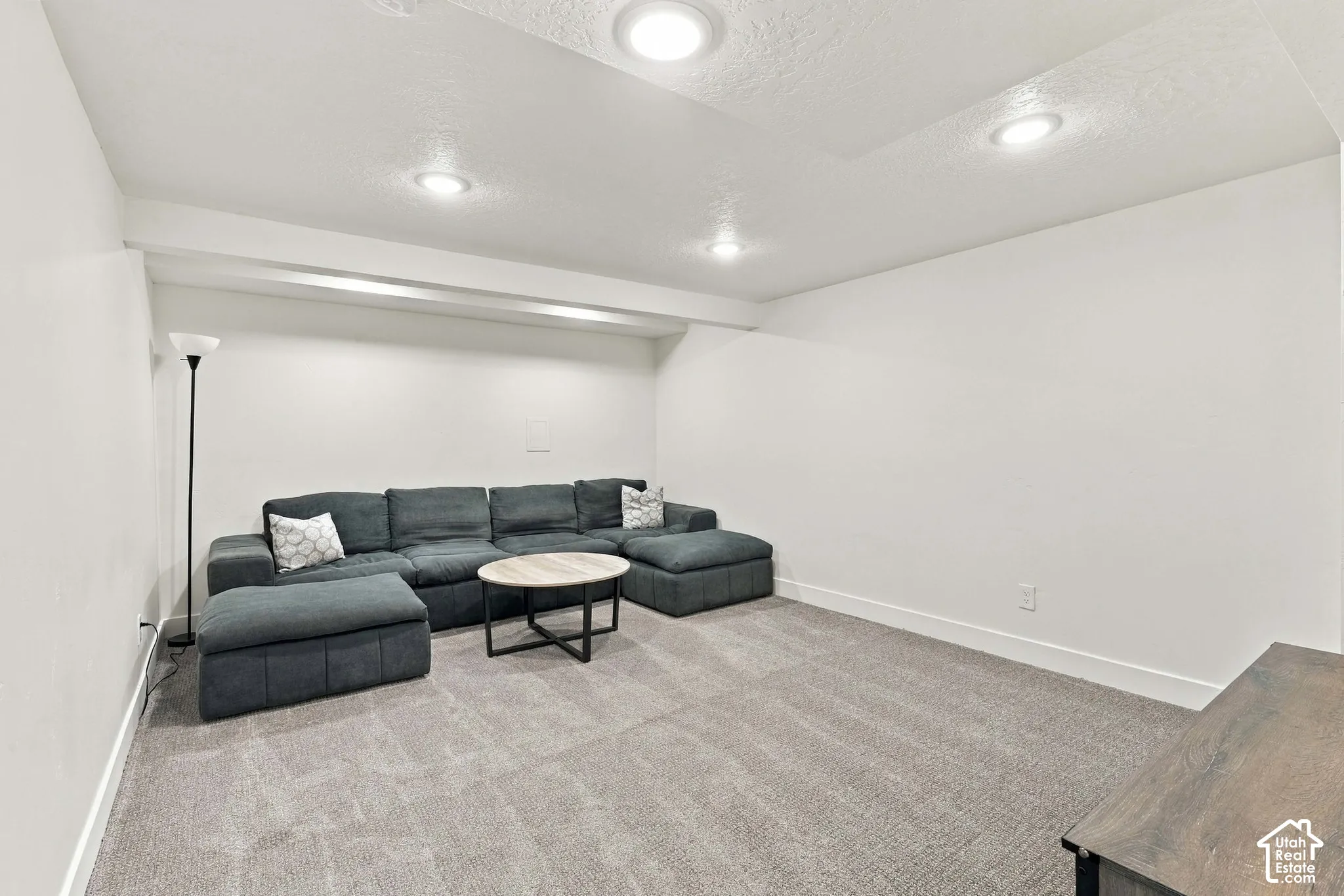 Downstairs Family Room or Media Room. Lots of space for a big screen TV or extra playroom for the kids.