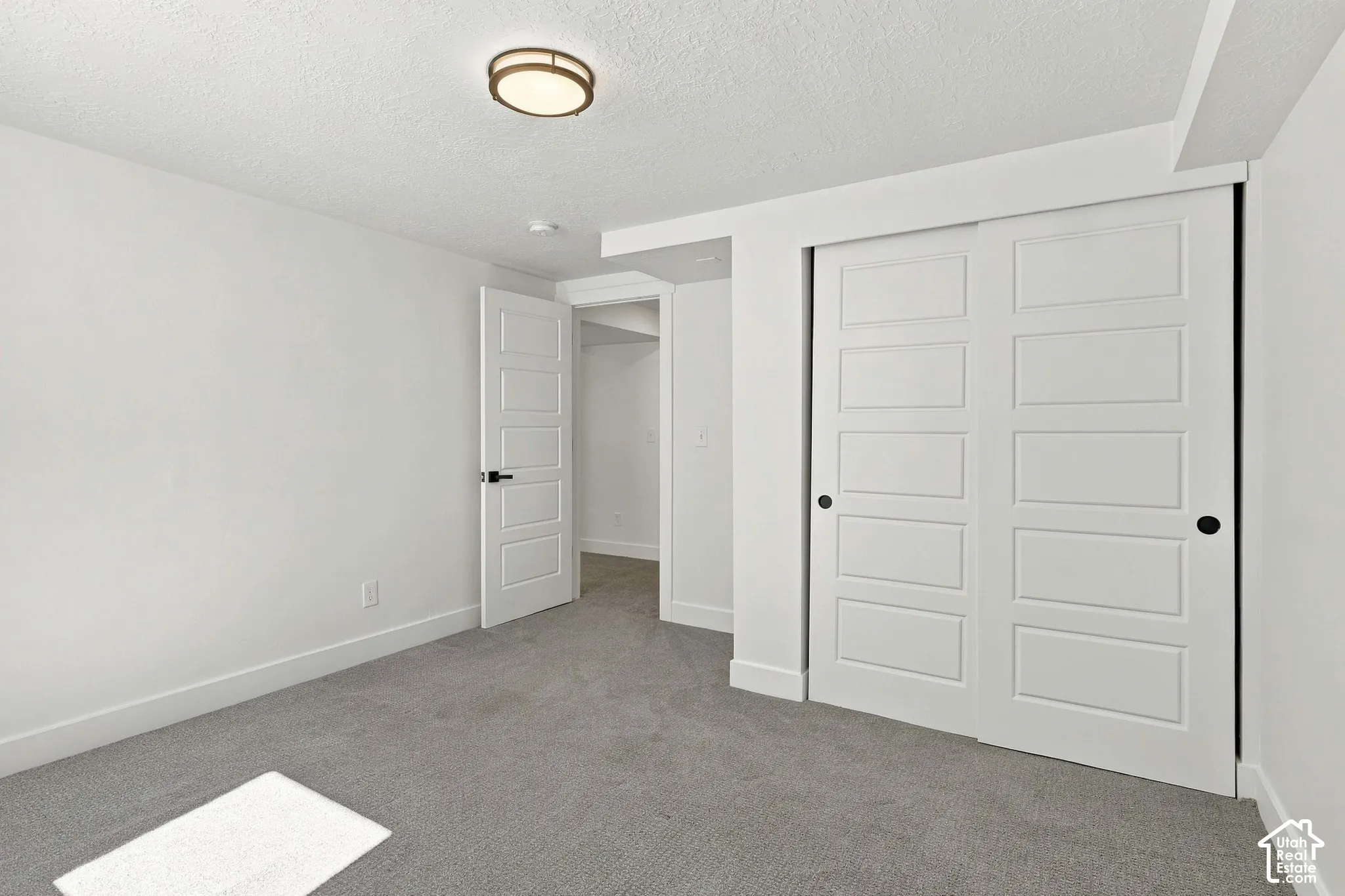 3rd bedroom: Neutral tone carpeting, modern five-panel interior door, and panel-front sliding closet doors