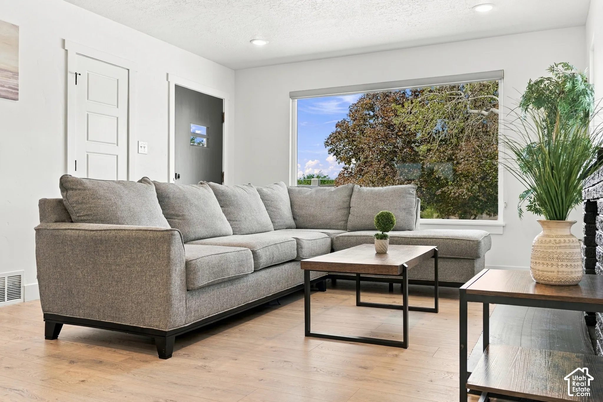 Bright and cheery living room with lots of windows and natural light.