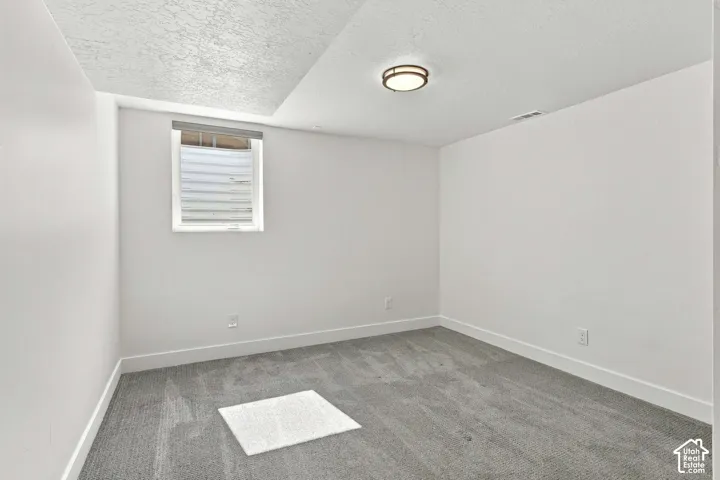 4th bedroom:  You wouldn't think a basement could be so bright, but IT IS!
