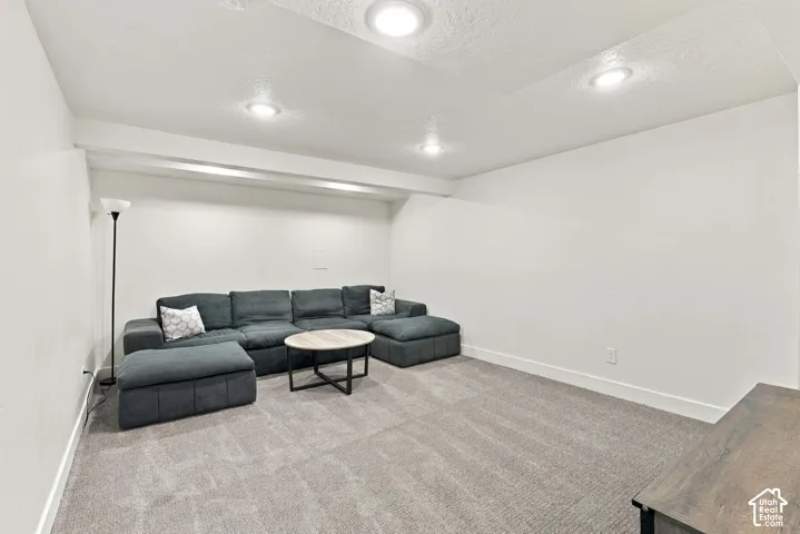 Downstairs Family Room or Media Room. Lots of space for a big screen TV or extra playroom for the kids.