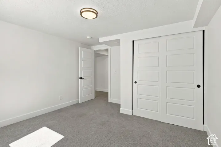3rd bedroom: Neutral tone carpeting, modern five-panel interior door, and panel-front sliding closet doors