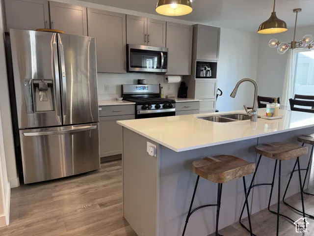 Stainless steel French door refrigerator, gas range, built-in microwave, and double basin undermount sink