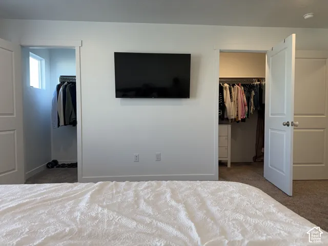Dual closets with white paneled doors, wall-mounted television, and neutral carpeting