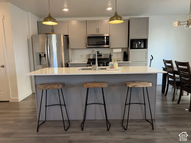 Kitchen featuring an island with white countertop, stainless steel appliances, grey cabinetry, and wood-finish flooring