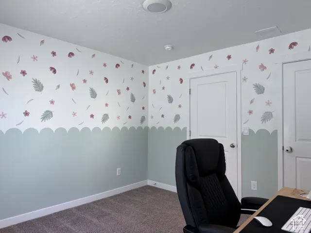 White paneled doors, carpet flooring, decorative wall treatment with a scalloped border, and a ceiling-mounted light fixture