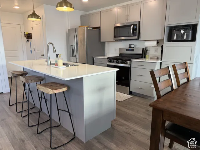 Kitchen featuring a center island with sink, stainless steel appliances, light-toned cabinetry, and wood-finish flooring