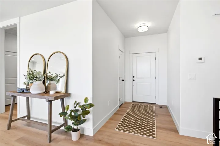 Entryway featuring wood-finish flooring, white walls, and a contemporary flush-mount ceiling light