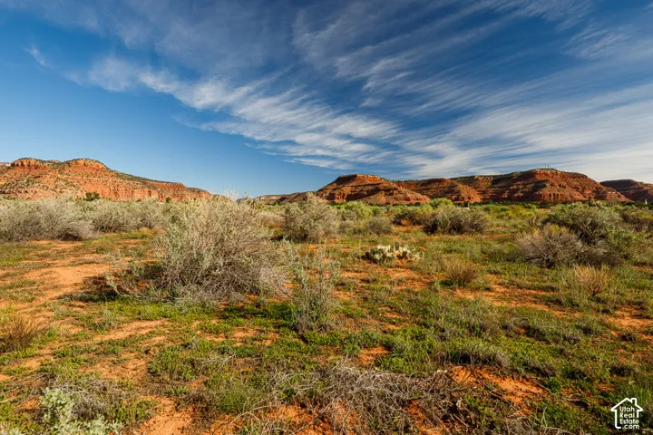 Expansive terrain featuring natural vegetation and distant red rock formations