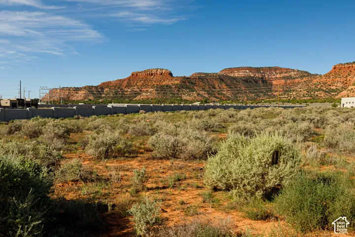 Expansive desert landscape with natural vegetation and distant red rock formations