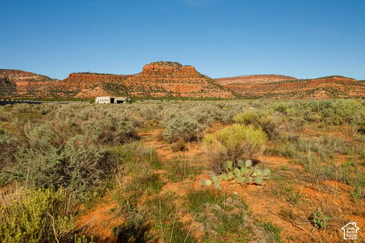 Expansive desert landscape featuring natural vegetation and distant red rock formations