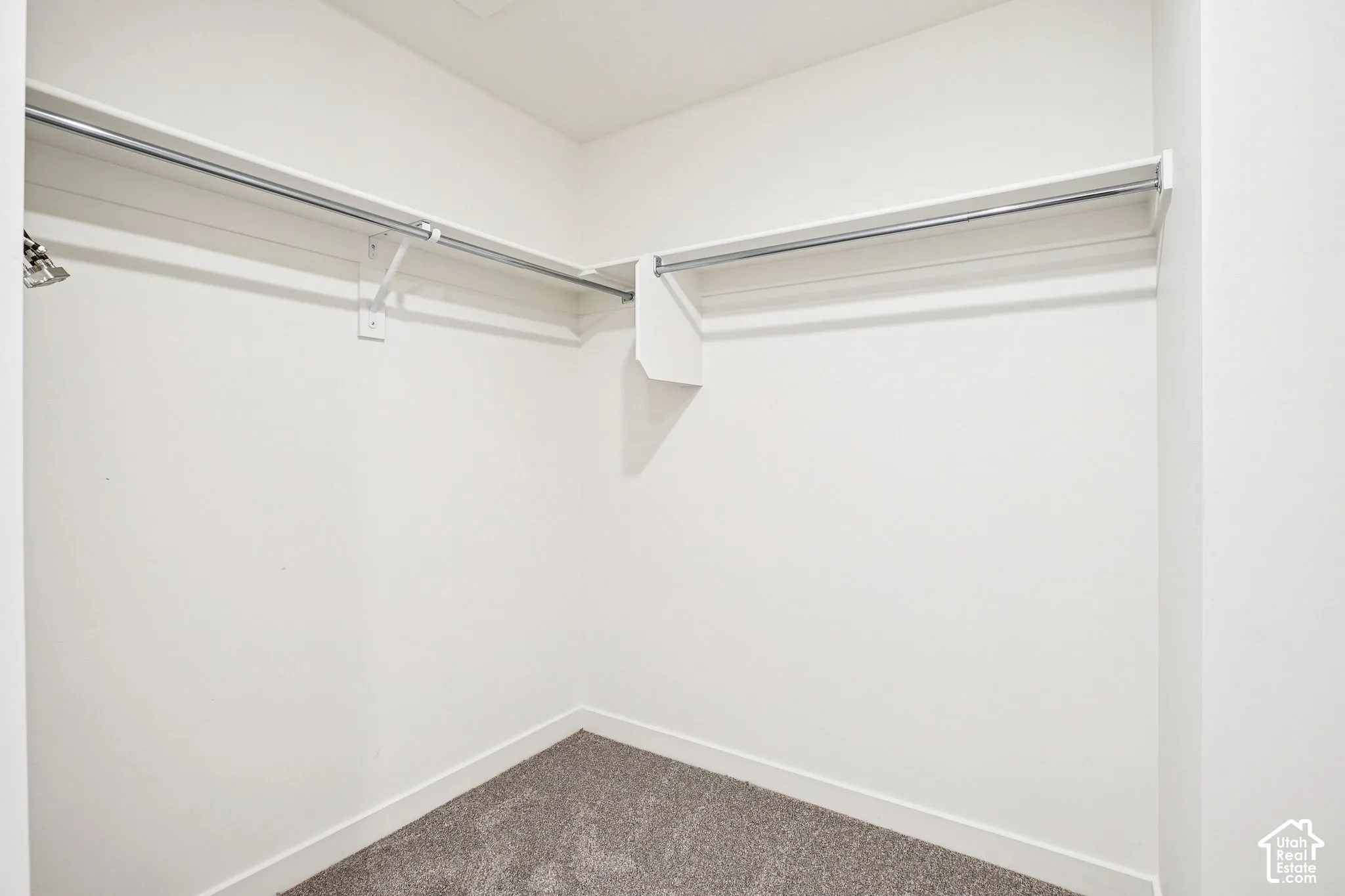 Carpeted closet with built-in shelving and hanging rods