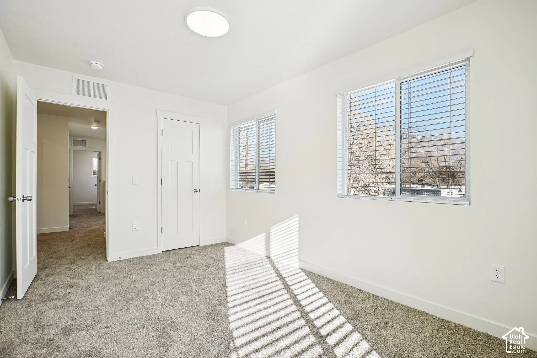 Neutral wall paint and plush carpet flooring