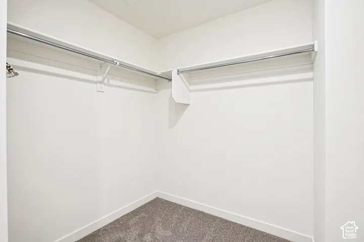 Carpeted closet with built-in shelving and hanging rods