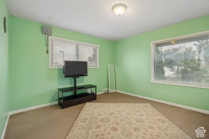 Carpeted flooring, two windows with blinds, and an overhead flush-mount light fixture