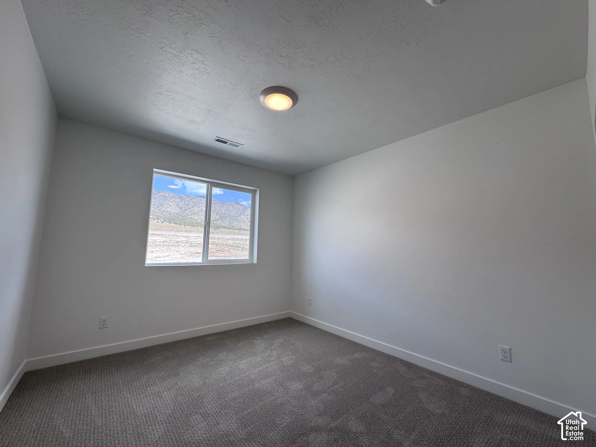 Neutral wall colors, textured carpeting, and a window with mountain scenery