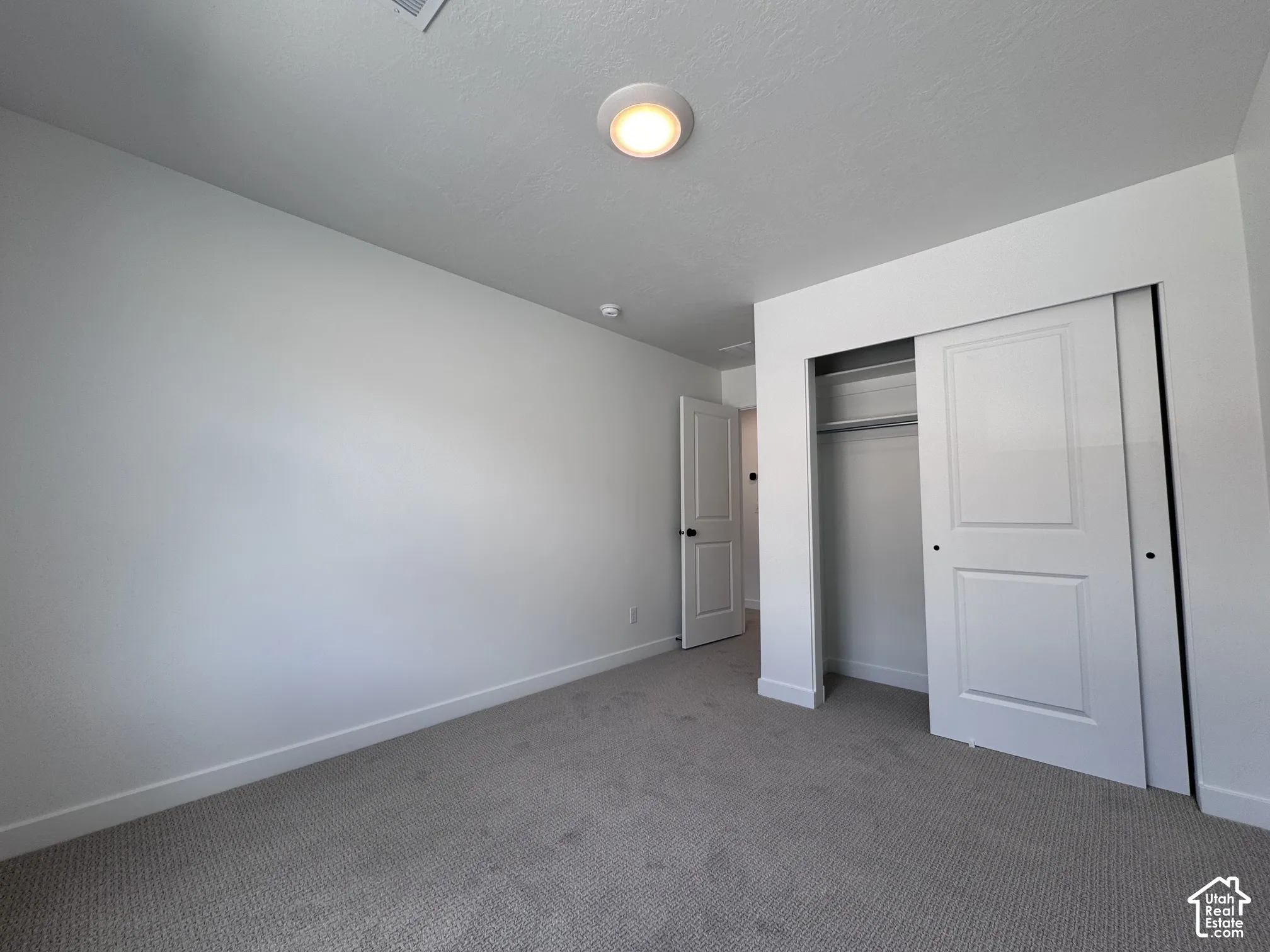 Neutral tone wall finish, flush mount ceiling light fixture, grey carpet flooring, and a sliding closet door