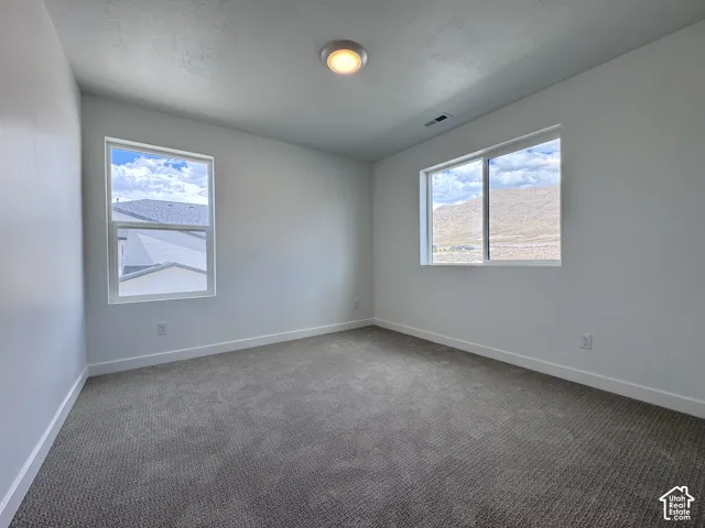Light gray carpeting with white walls and trim