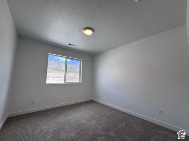 Neutral wall colors, textured carpeting, and a window with mountain scenery