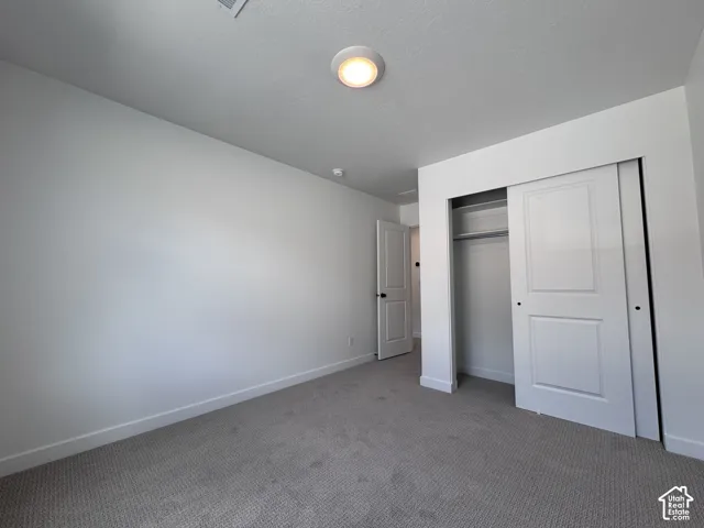 Neutral tone wall finish, flush mount ceiling light fixture, grey carpet flooring, and a sliding closet door