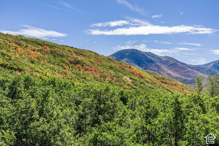 5632 E Pioneer Fork Rd, Salt Lake City, Utah 84108
