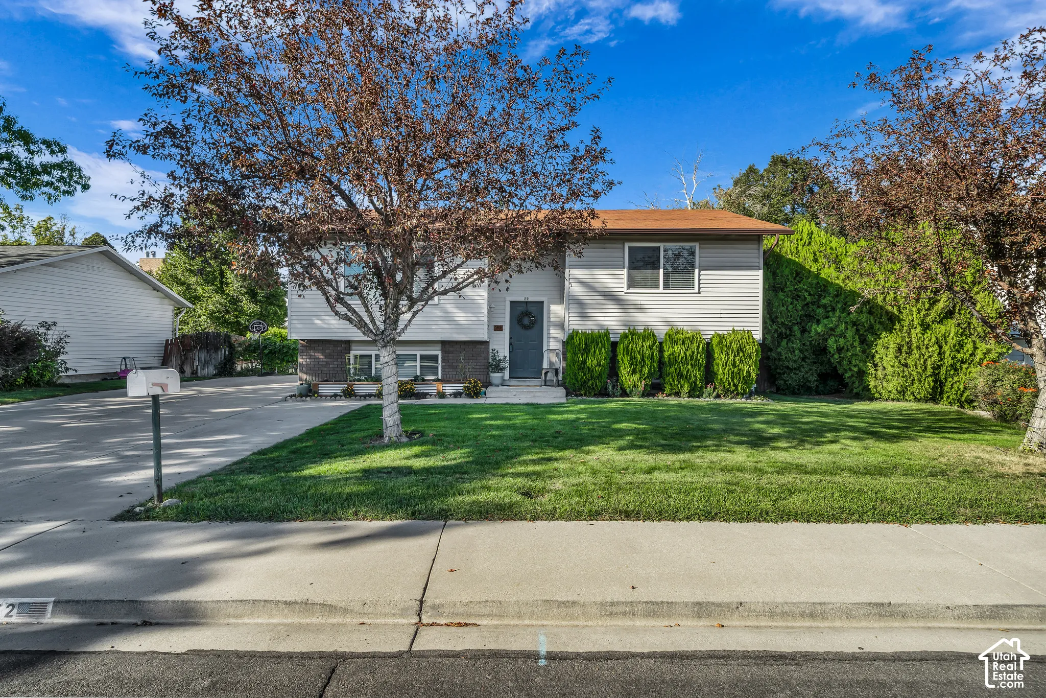 Siding exterior with a visible concrete driveway, mature trees, and landscaping