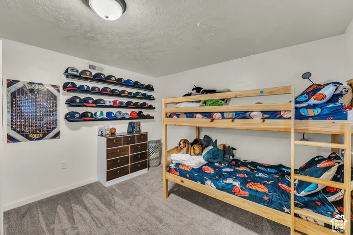 Textured carpet flooring, neutral wall paint, and overhead flush-mount lighting