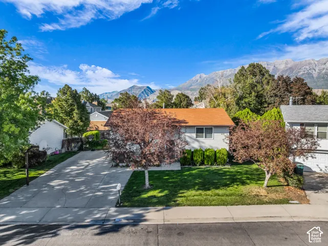 Expansive concrete driveway, mature trees, manicured lawn, and mountain scenery