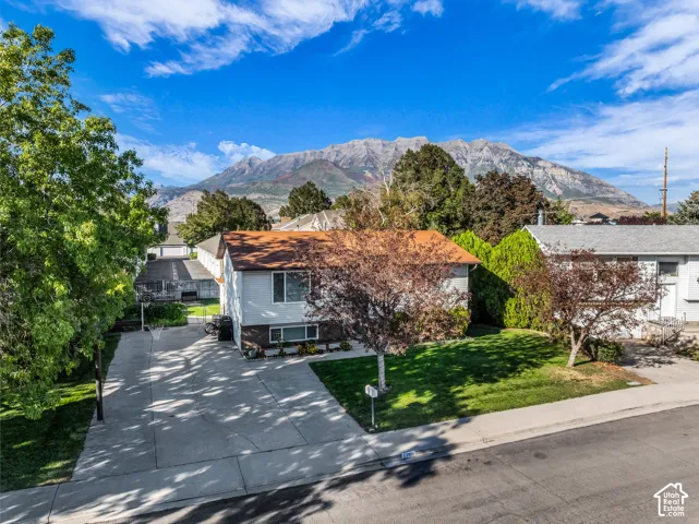 Expansive driveway, mature trees, manicured lawn, mountain backdrop, and an asphalt shingle roof