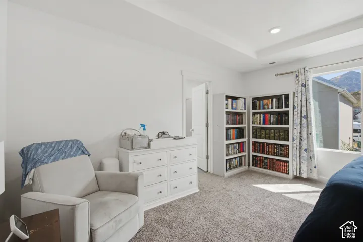 Tray ceiling, recessed lighting, white walls, carpeted flooring, built-in shelving