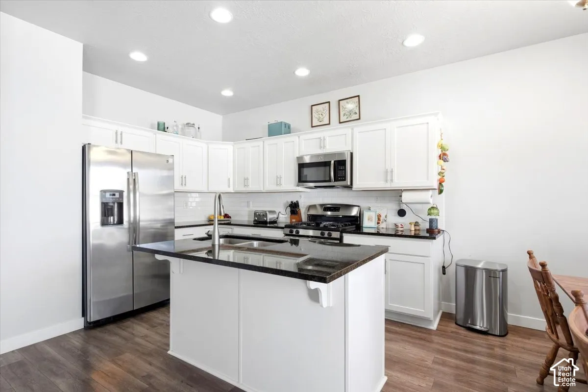 White shaker cabinetry, dark countertops, wood-finish flooring, stainless steel appliances, and recessed lighting