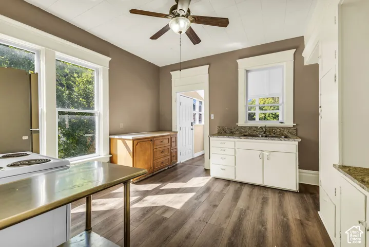 Wood-finish flooring, white cabinetry, integrated sink, granite-style countertops, and a ceiling fan
