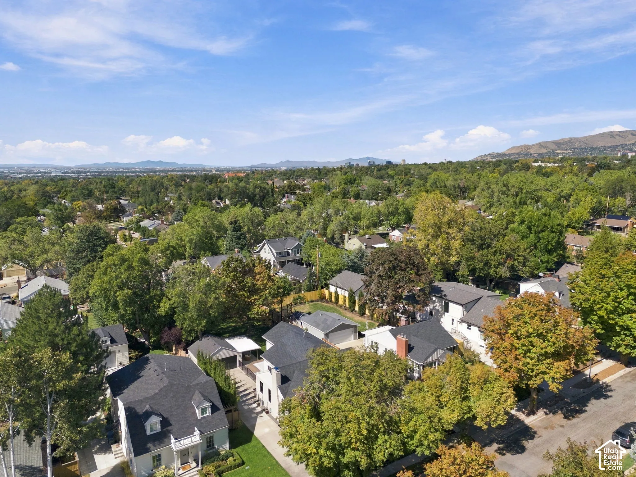 Expansive residential area with mature trees and varied architectural styles