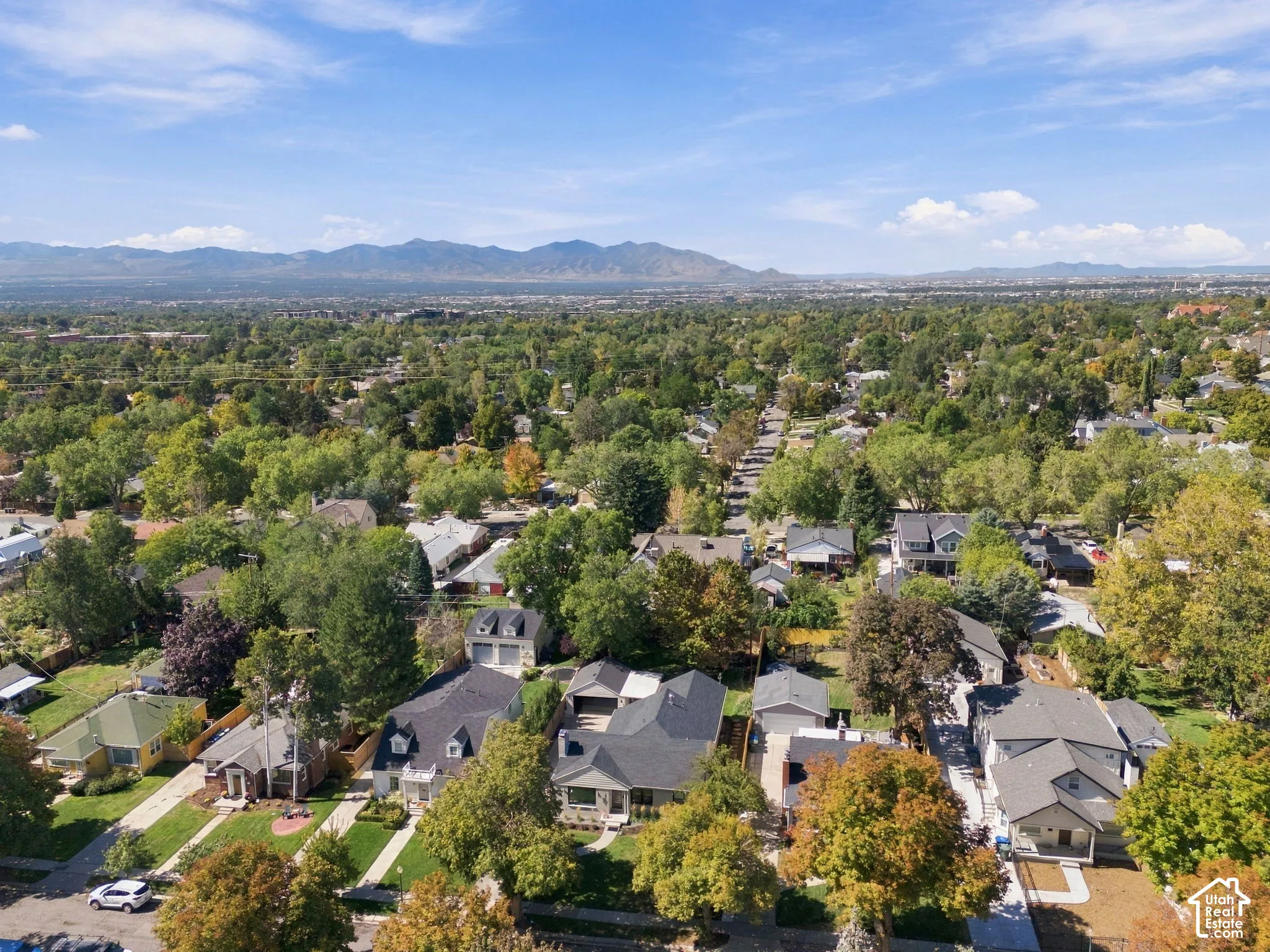 Expansive suburban landscape featuring mature trees, a mix of residential rooflines, and distant mountains under a clear sky