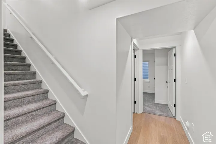 Carpeted staircase with a white handrail, light wood-finish flooring, and white interior doors with dark hardware