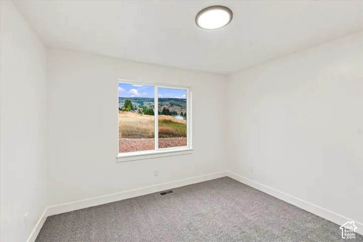 White walls, gray carpeting, and a flush-mount ceiling light